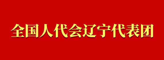 全國人代會遼寧代表團